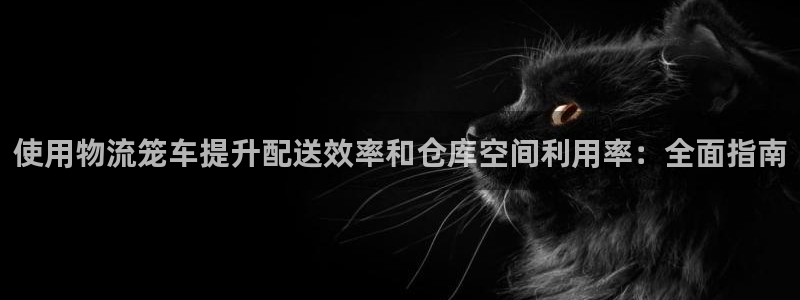 南宫28圈官网版：使用物流笼车提升配