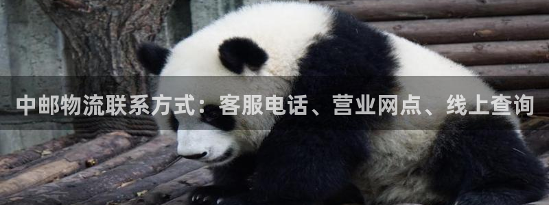28圈加拿大是什么：中邮物流联系方式