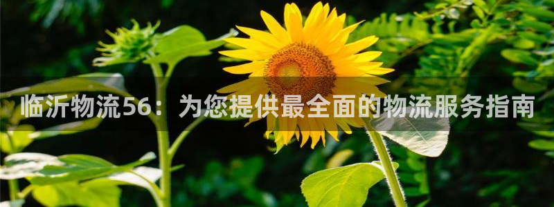 28圈提款一直没到