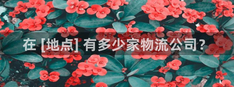 28圈是正规软件吗：在 [地点] 有