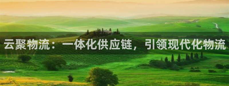 28圈预测加拿大师准