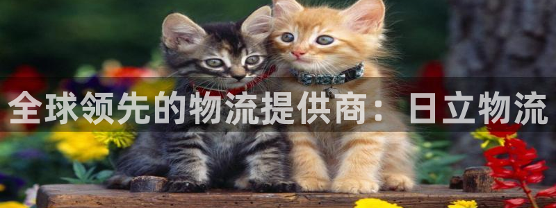 28圈下载二维码：全球领先的物流提供