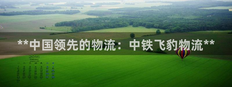 28圈圈：**中国领先的物流：中铁飞