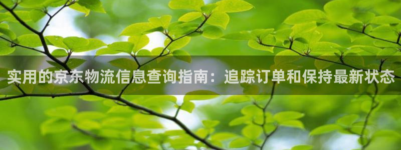 28圈和南宫28什么关系：实用的京东