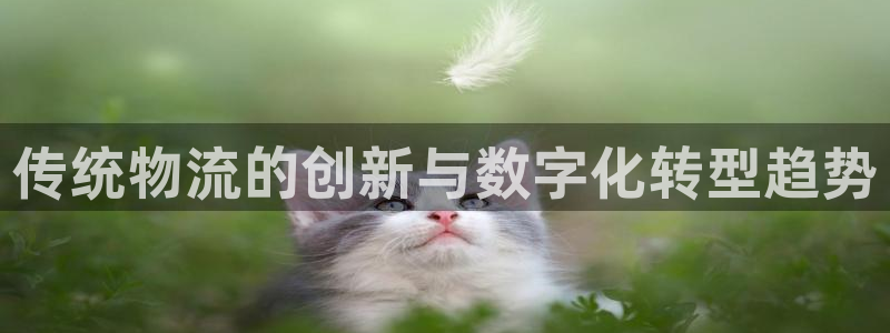 28圈稳吗：传统物流的创新与数字化转