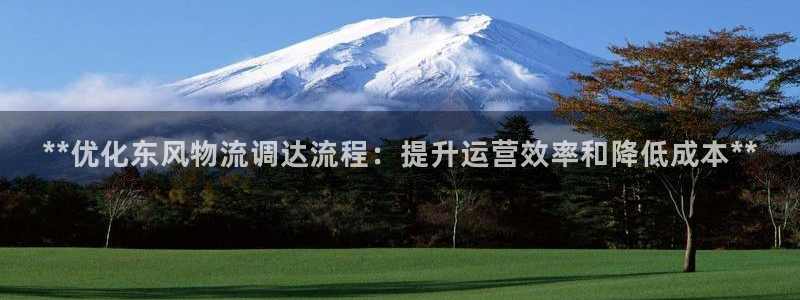 28圈官方：**优化东风物流调达流程