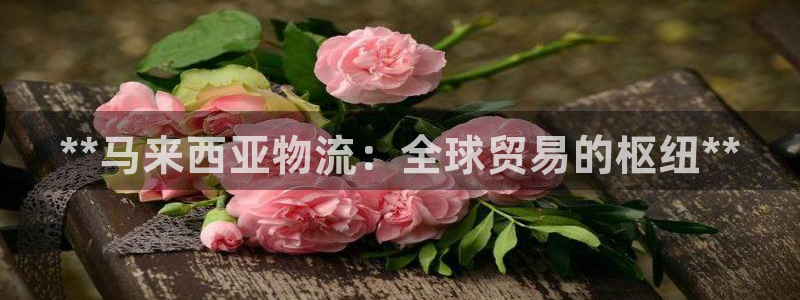 28圈平台注册：**马来西亚物流：全