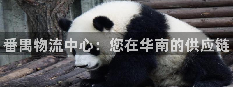 28圈退款