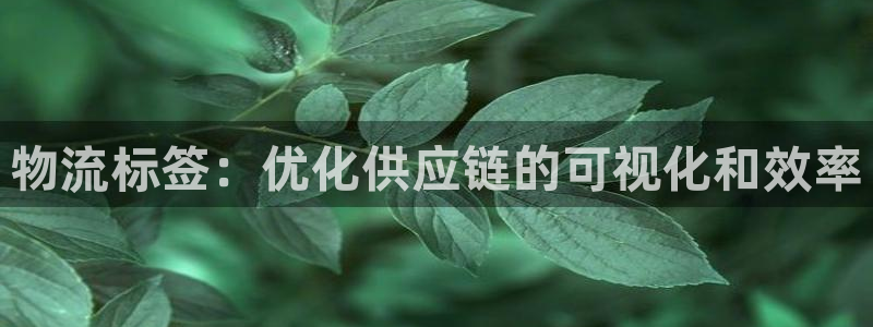 28圈是南宫旗下的吗：物流标签：优化