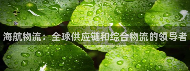 28圈如何注销账号：海航物流：全球供
