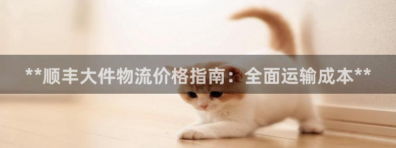 28圈黑平台吗