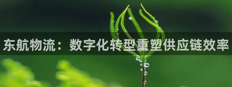 28圈.ccmapp：东航物流：数字
