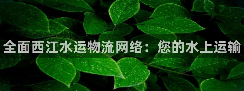 28圈如何注销账号：全面西江水运物流