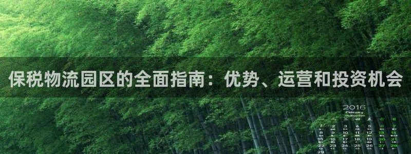 28圈pc预测：保税物流园区的全面指