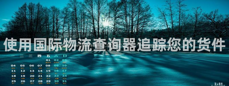 28圈南宫娱乐官网：使用国际物流查询