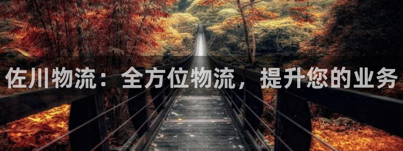 28圈官网预测：佐川物流：全方位物流