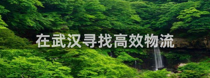28圈软件是什么：在武汉寻找高效物流
