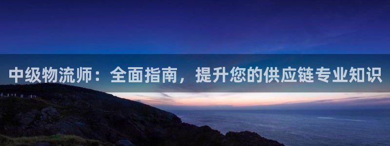 28圈起来的符号：中级物流师：全面指