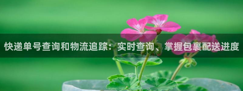 28圈官方网站：快递单号查询和物流追