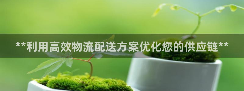 28圈防失联网址：**利用高效物流配