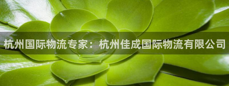 28圈注册账号：杭州国际物流专家：杭