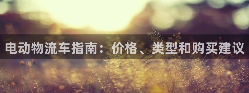 28圈免费：电动物流车指南：价格、类