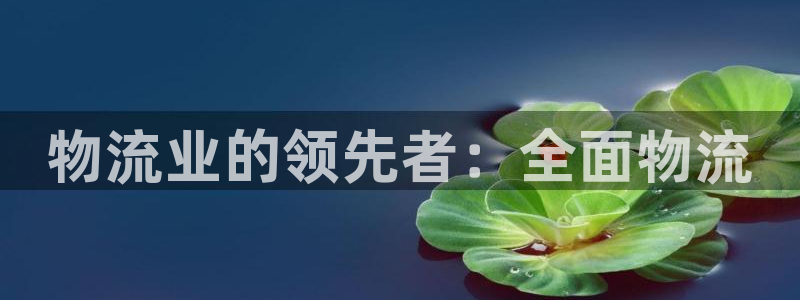 28圈如何退款：物流业的领先者：全面