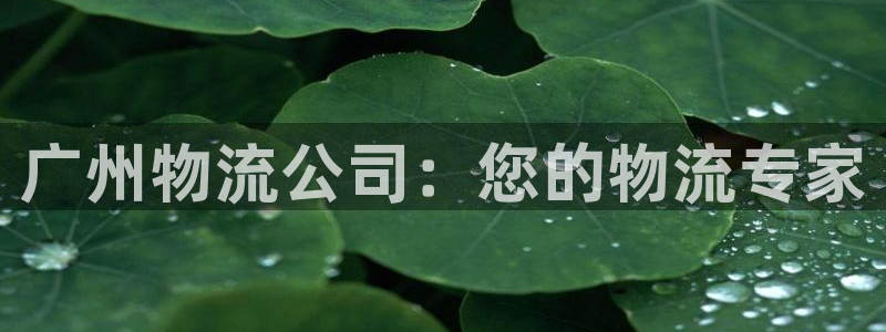 28圈账号注册：广州物流公司：您的物