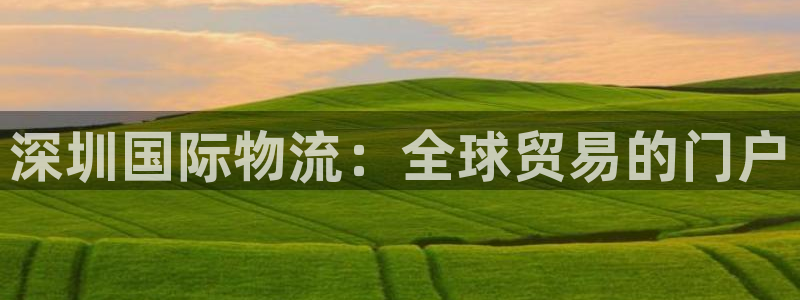 28圈网站平台是多少：深圳国际物流：