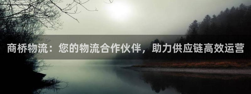 28圈充值不到账怎么办：商桥物流：您