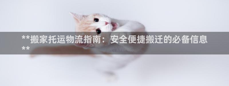 28圈口：**搬家托运物流指南：安全