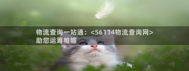 28圈怎么注册游戏名字：物流查询一站