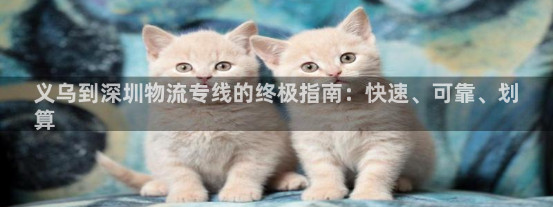 28圈p扣款什么意思