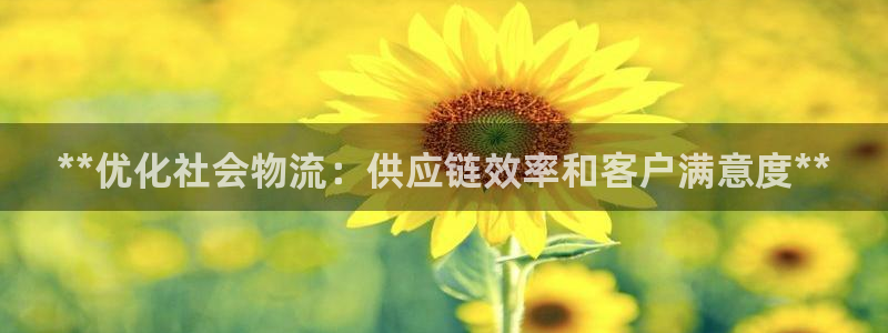 28圈娱乐官网网页下载：**优化社会