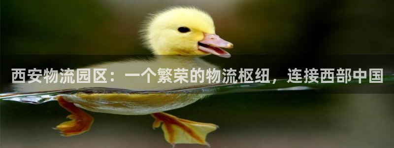 28圈注册登录：西安物流园区：一个繁
