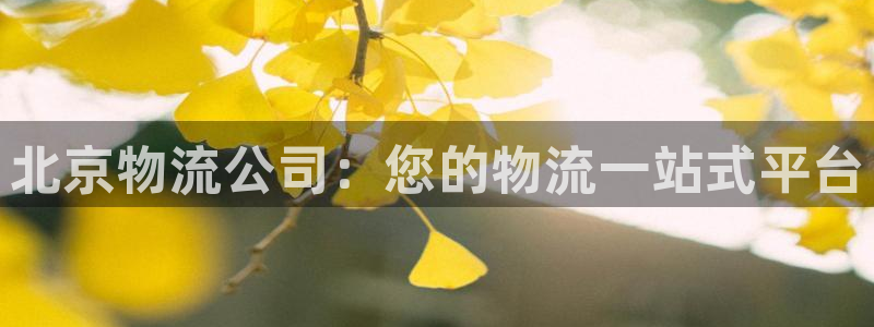 28圈加拿大模拟器：北京物流公司：您