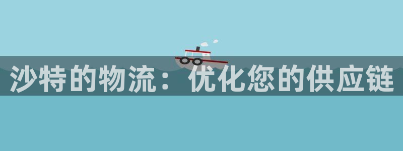 28圈注册二维码：沙特的物流：优化您