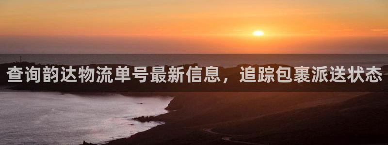 28圈注册网站链接是什么：查询韵达物