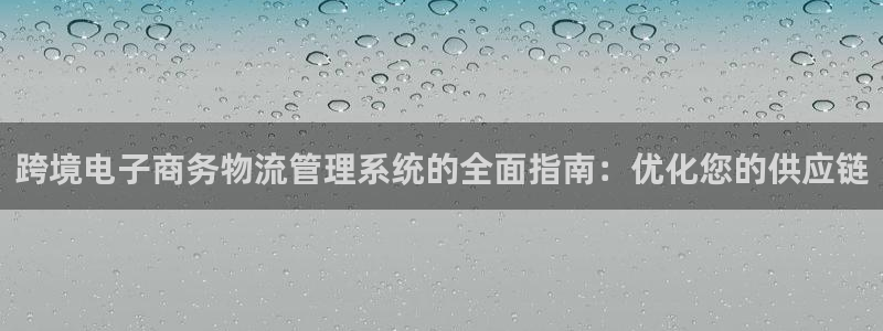 28圈官网版2024：跨境电子商务物