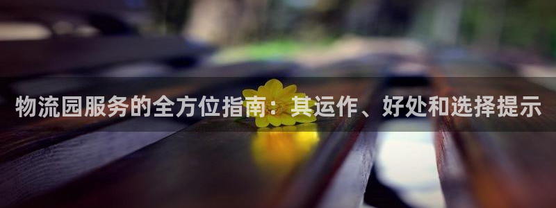 28圈二维码：物流园服务的全方位指南