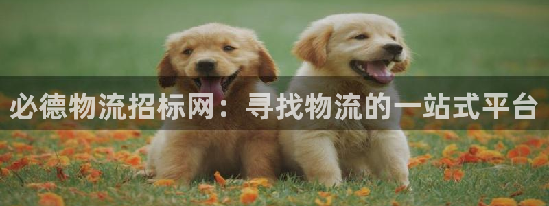 28圈女王中奖记录查询