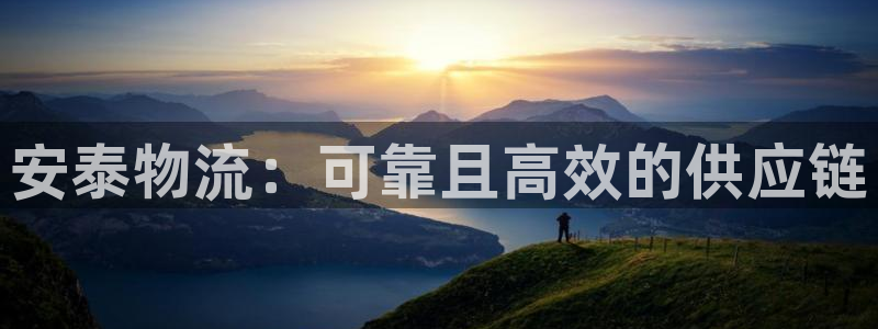 28圈注册号：安泰物流：可靠且高效的