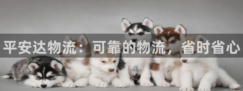 28圈加拿大走势：平安达物流：可靠的