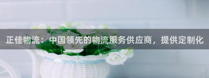 28圈预测网