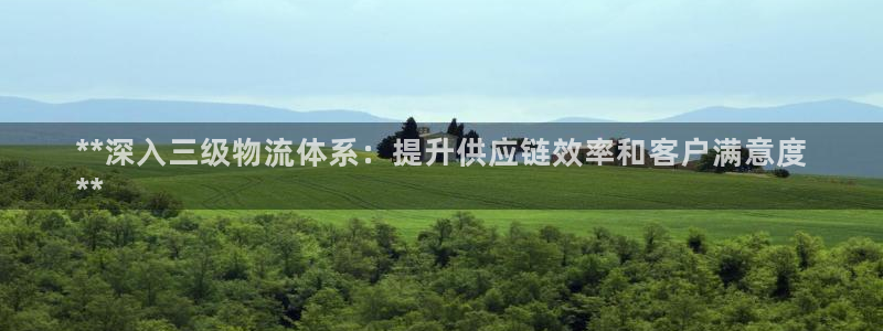 28圈链接多少：**深入三级物流体系