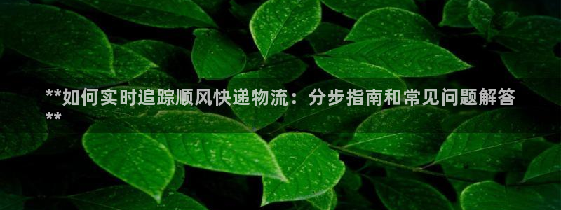 麻将128圈：**如何实时追踪顺风快递物流：分步指南和常见问