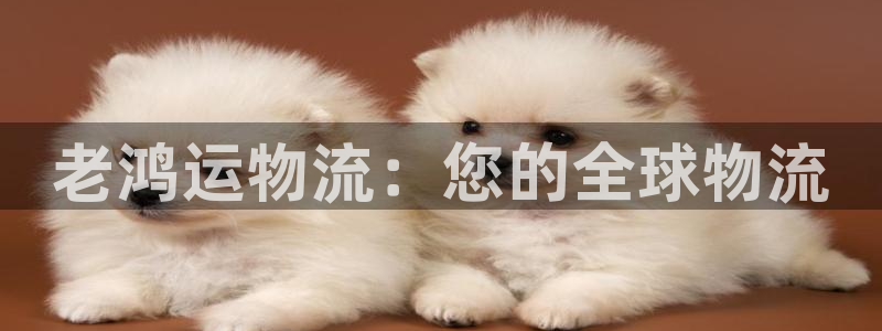 28圈麻将：老鸿运物流：您的全球物流
