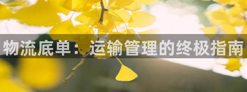 28圈官方网站是多少：物流底单：运输