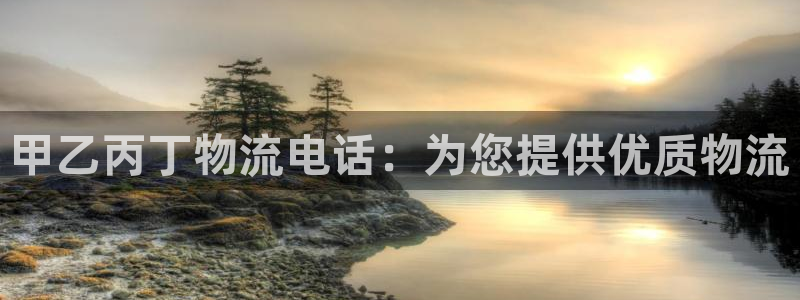 28圈注册网站加拿大：甲乙丙丁物流电话：为您提供优质物流