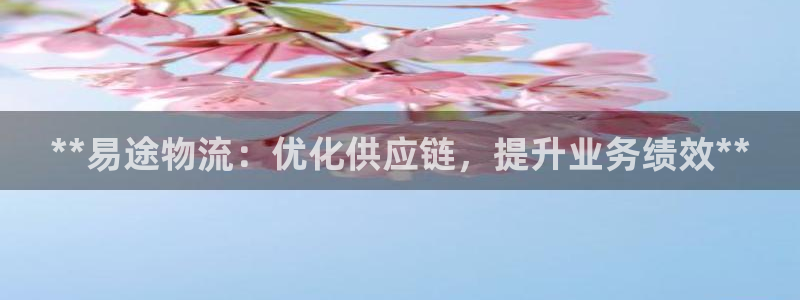 28圈pg麻将胡了：**易途物流：优